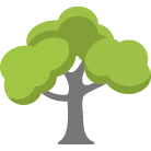 Dublin Tree Removal